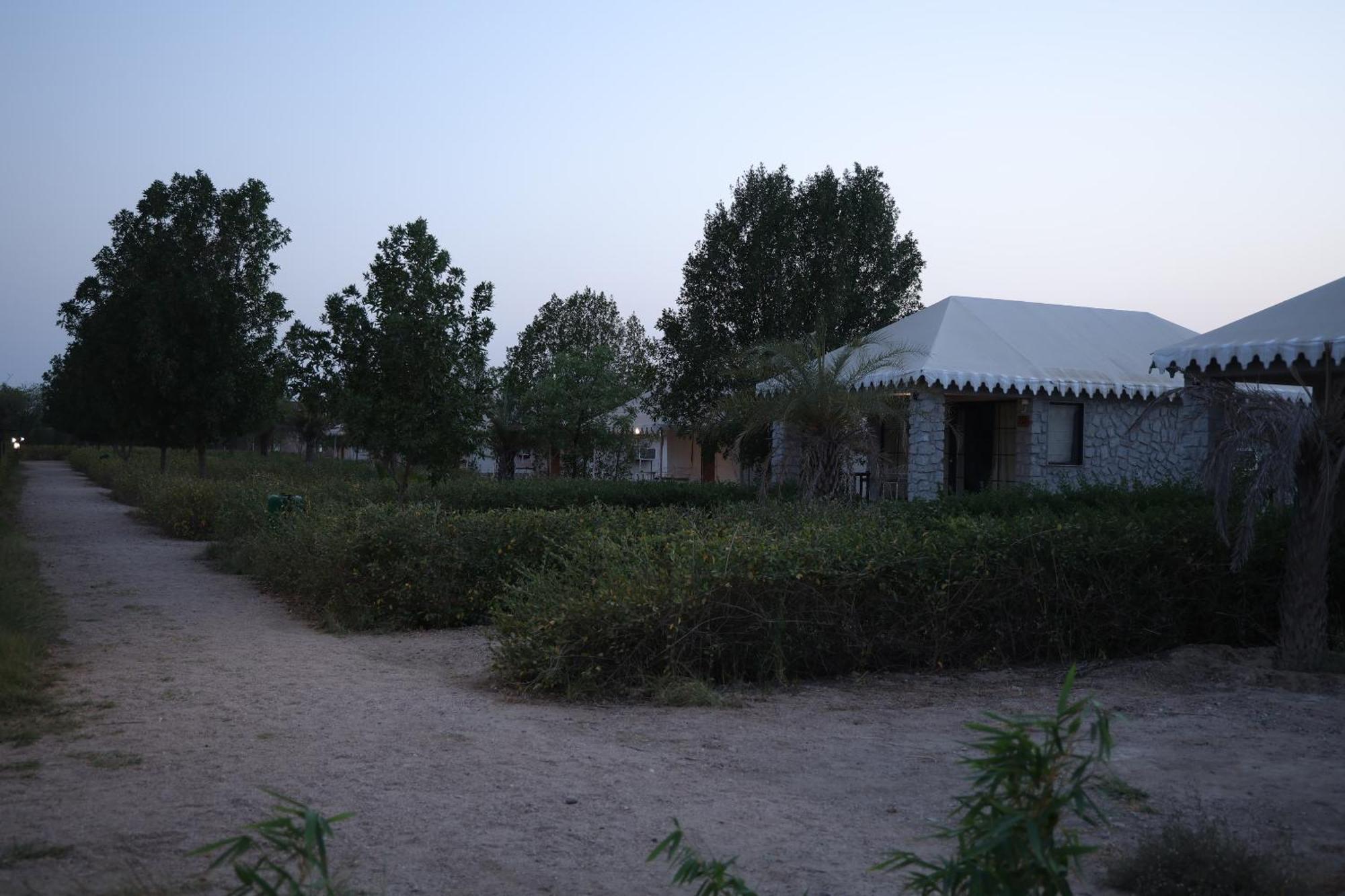 فندق Jawai Bera Leopard Camp المظهر الخارجي الصورة