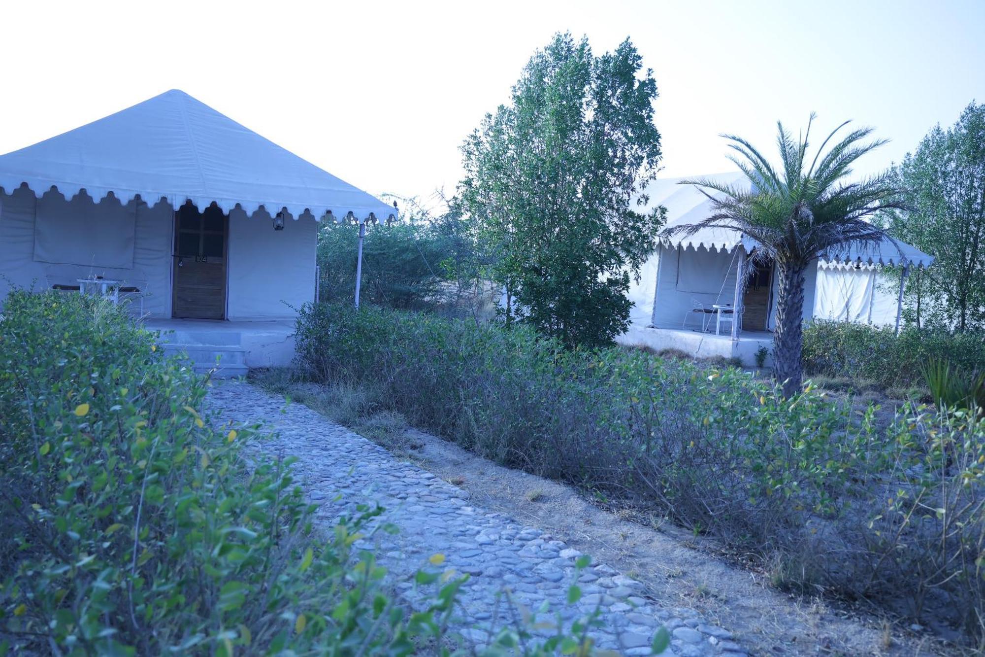 فندق Jawai Bera Leopard Camp المظهر الخارجي الصورة
