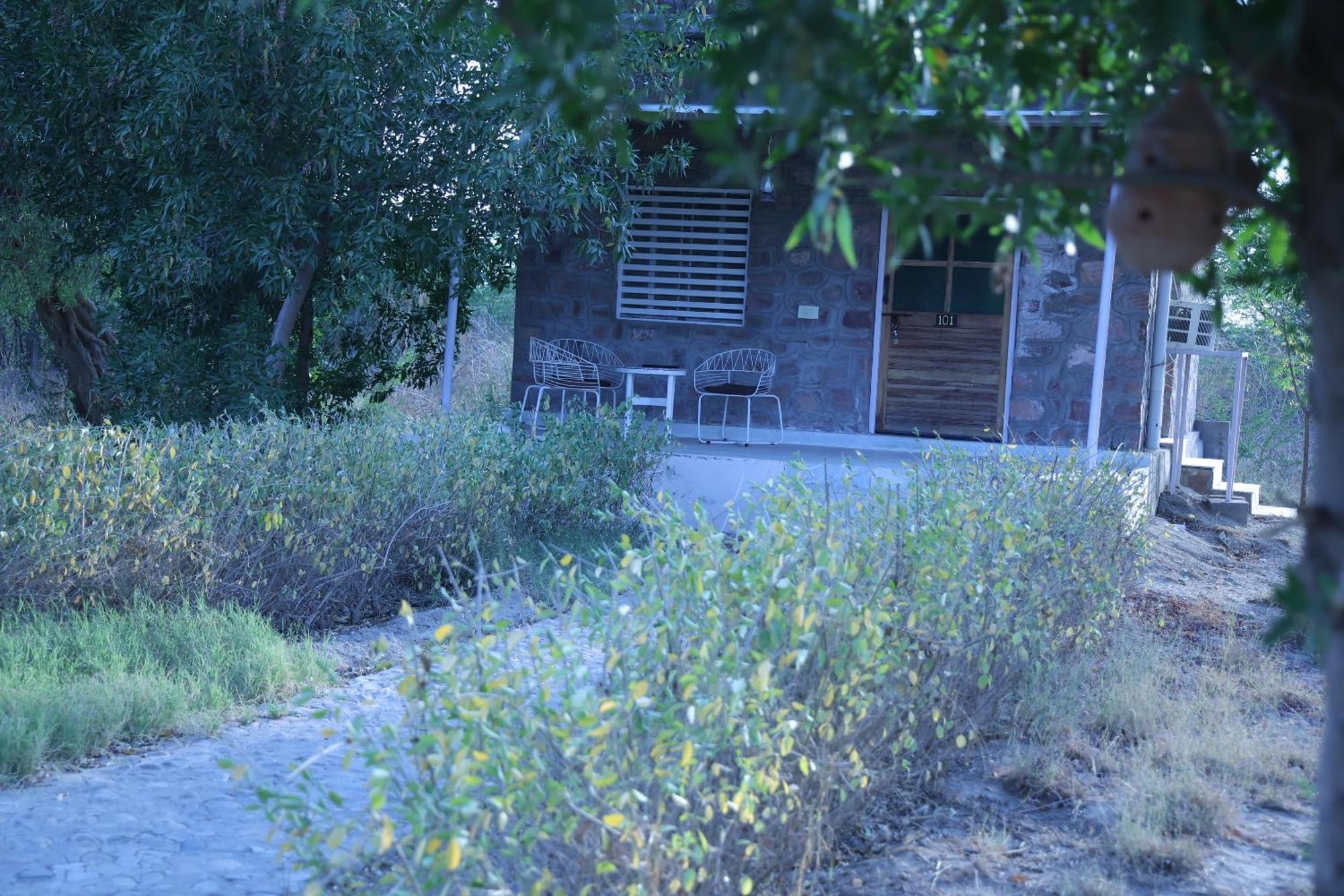 فندق Jawai Bera Leopard Camp المظهر الخارجي الصورة