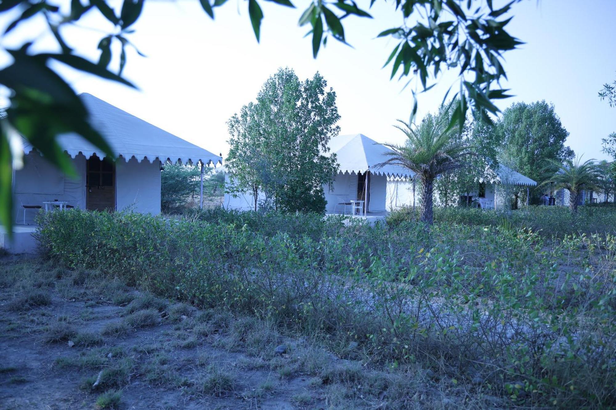 فندق Jawai Bera Leopard Camp المظهر الخارجي الصورة
