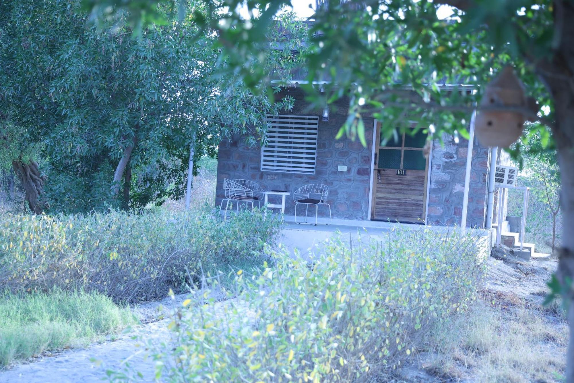 فندق Jawai Bera Leopard Camp المظهر الخارجي الصورة