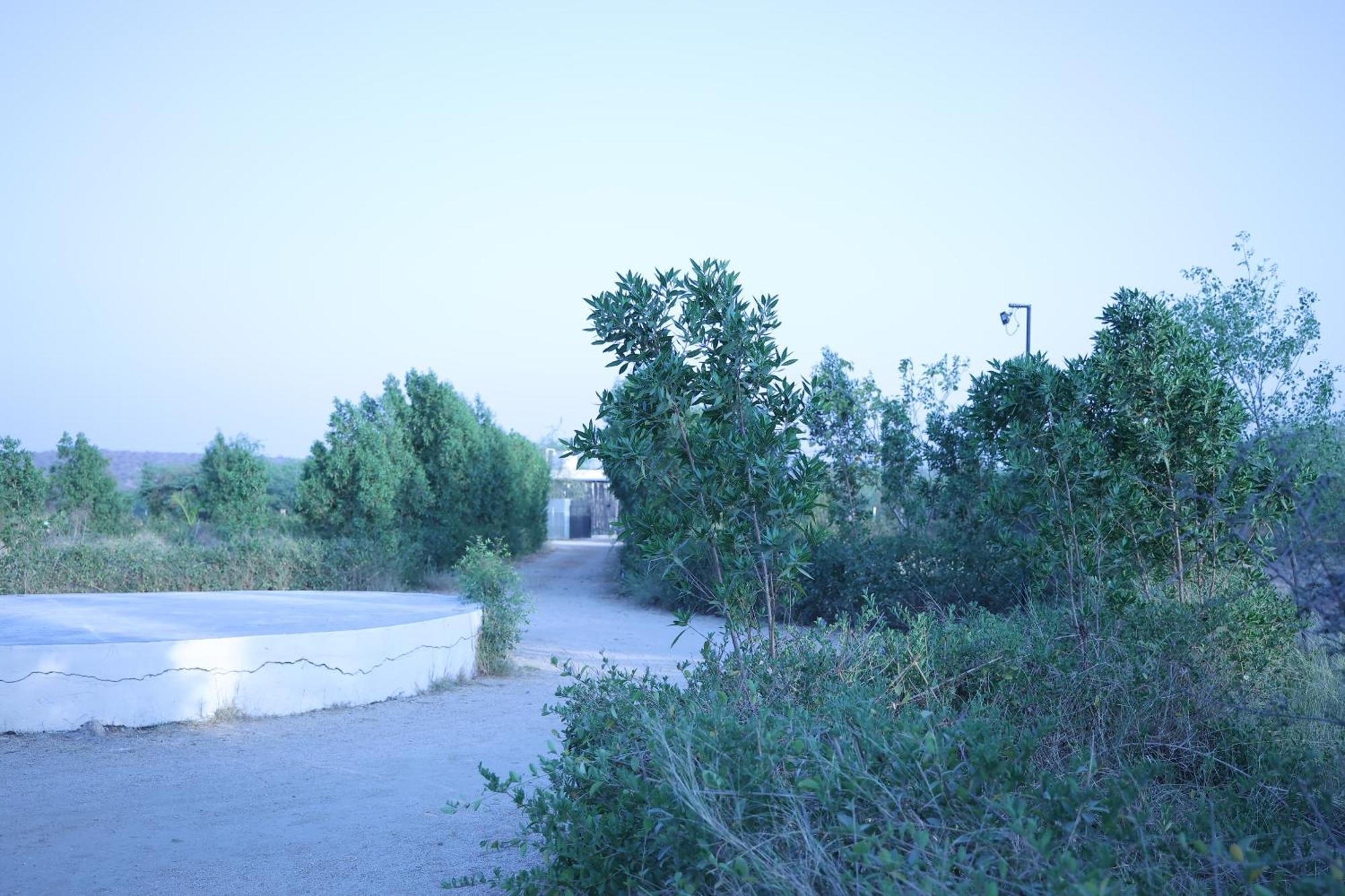 فندق Jawai Bera Leopard Camp المظهر الخارجي الصورة