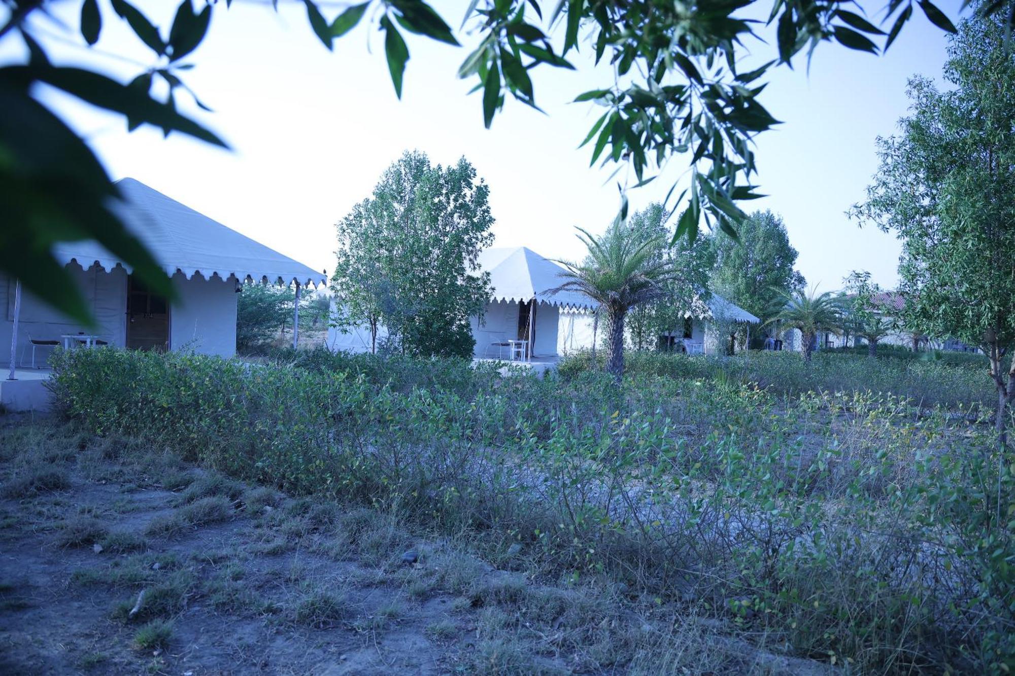 فندق Jawai Bera Leopard Camp المظهر الخارجي الصورة